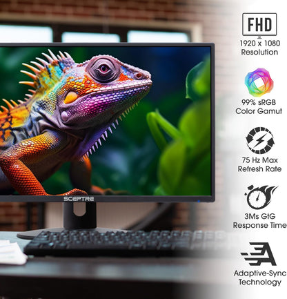 24-Inch Professional Thin 1080P LED Monitor 99% Srgb 2X HDMI VGA Build-In Speakers, Machine Black (E248W-19203R Series).
